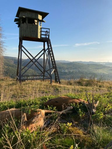 Hochsitz im Revier 2
