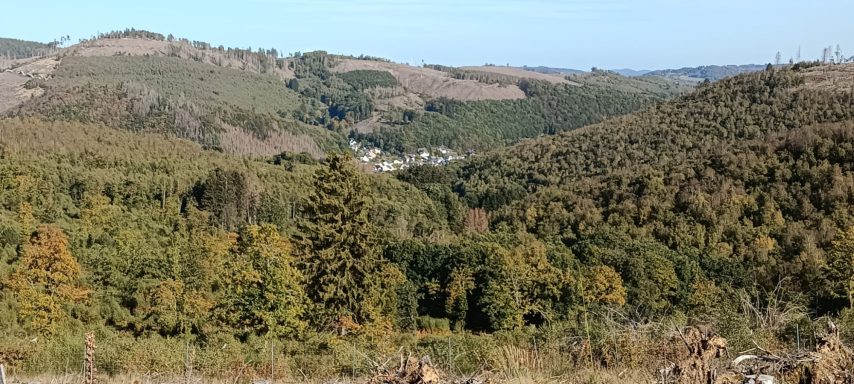Impressionen aus dem Hauberg
